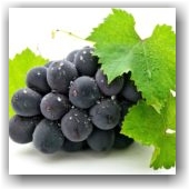 Food_Berries__fruits__nuts_Grapes_033601_[1]