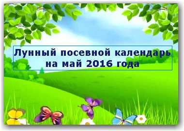 лунный посевной календарь