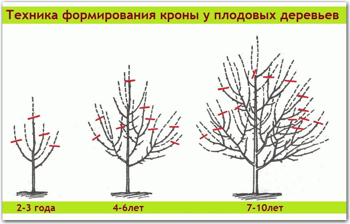 obrezka0[1]