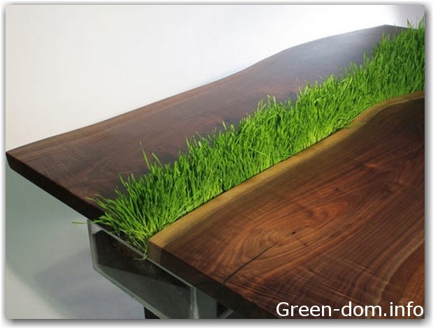 Green-Grass-Created-by-Emily-Wettstein3-600x450