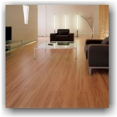 cvet-laminata2[1]