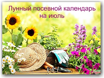 лунный посевной календарь