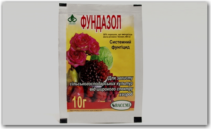 Болезни и вредители кустарника – как с ними бороться?