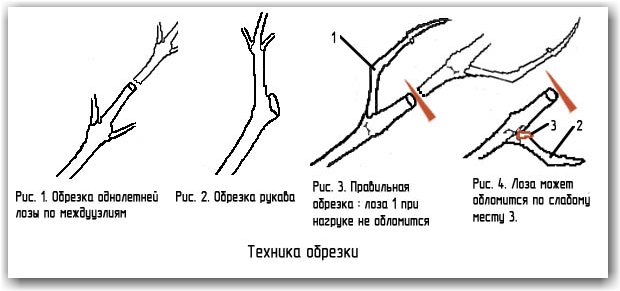 1355992857[1]