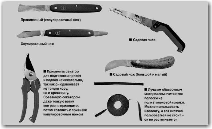 Технология проведения процедуры – от А до Я